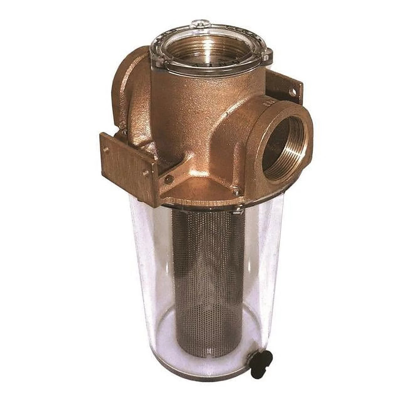 1 in. Raw Water Strainer with Stainless Steel Basket