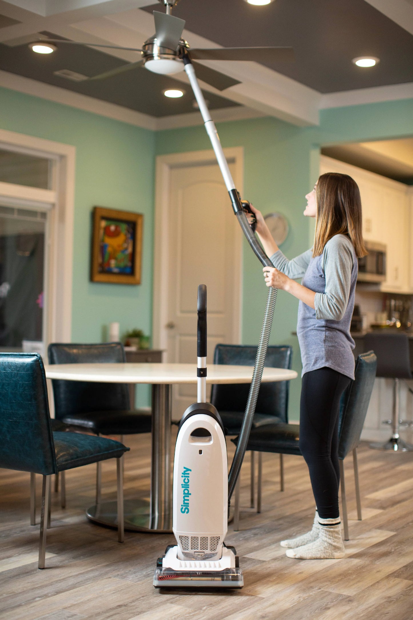 Simplicity Vacuums Allergy Bagged Upright Vacuum Cleaner