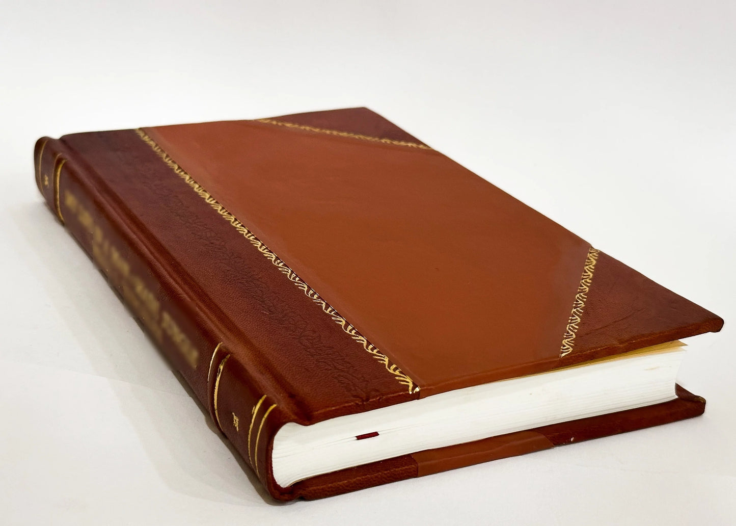 Souvenir of Astoria Oregon (1895) [Leather Bound]