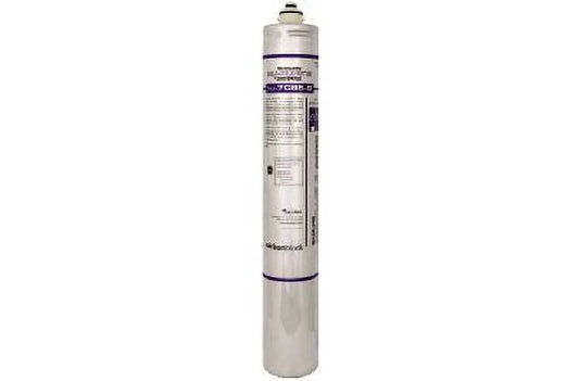 Everpure 4621-30 Carbon Cartridge Water Filter, 10000 gal, 2.5 gpm