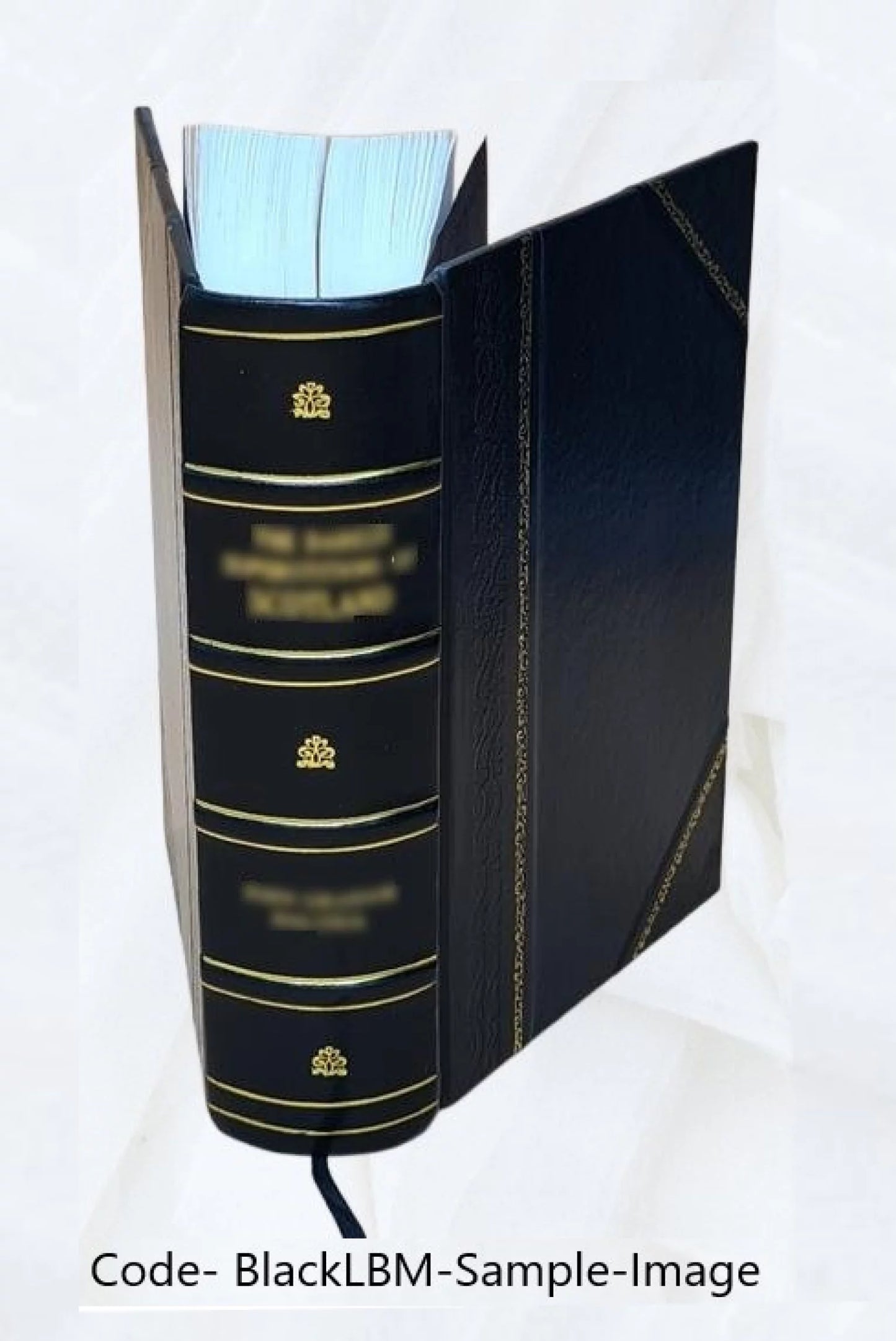 Physikalisches Wrterbuch Waf Win 1842 [Leather Bound]