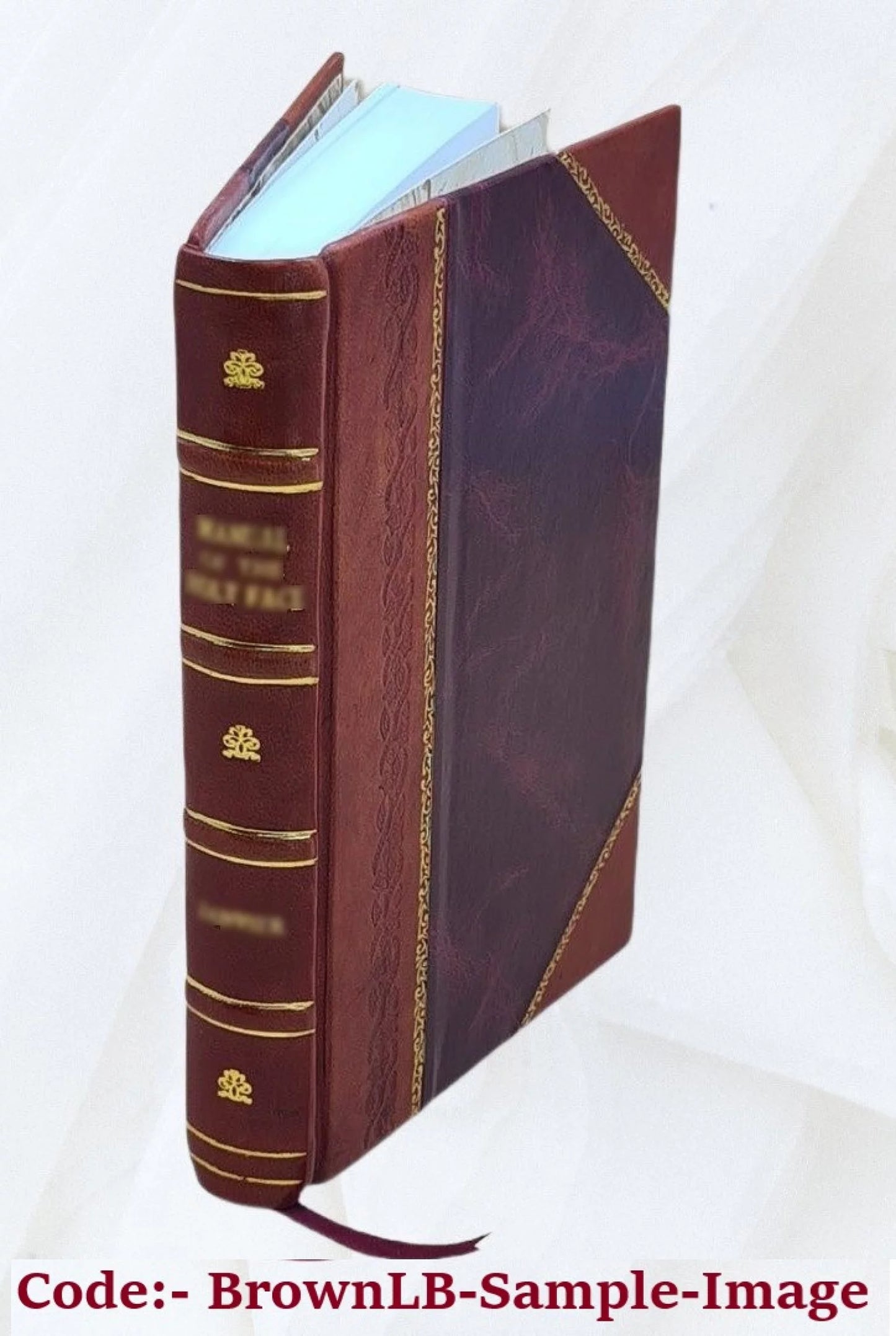 Les parents riches : Valentine Volume 2 1852 [Leather Bound]