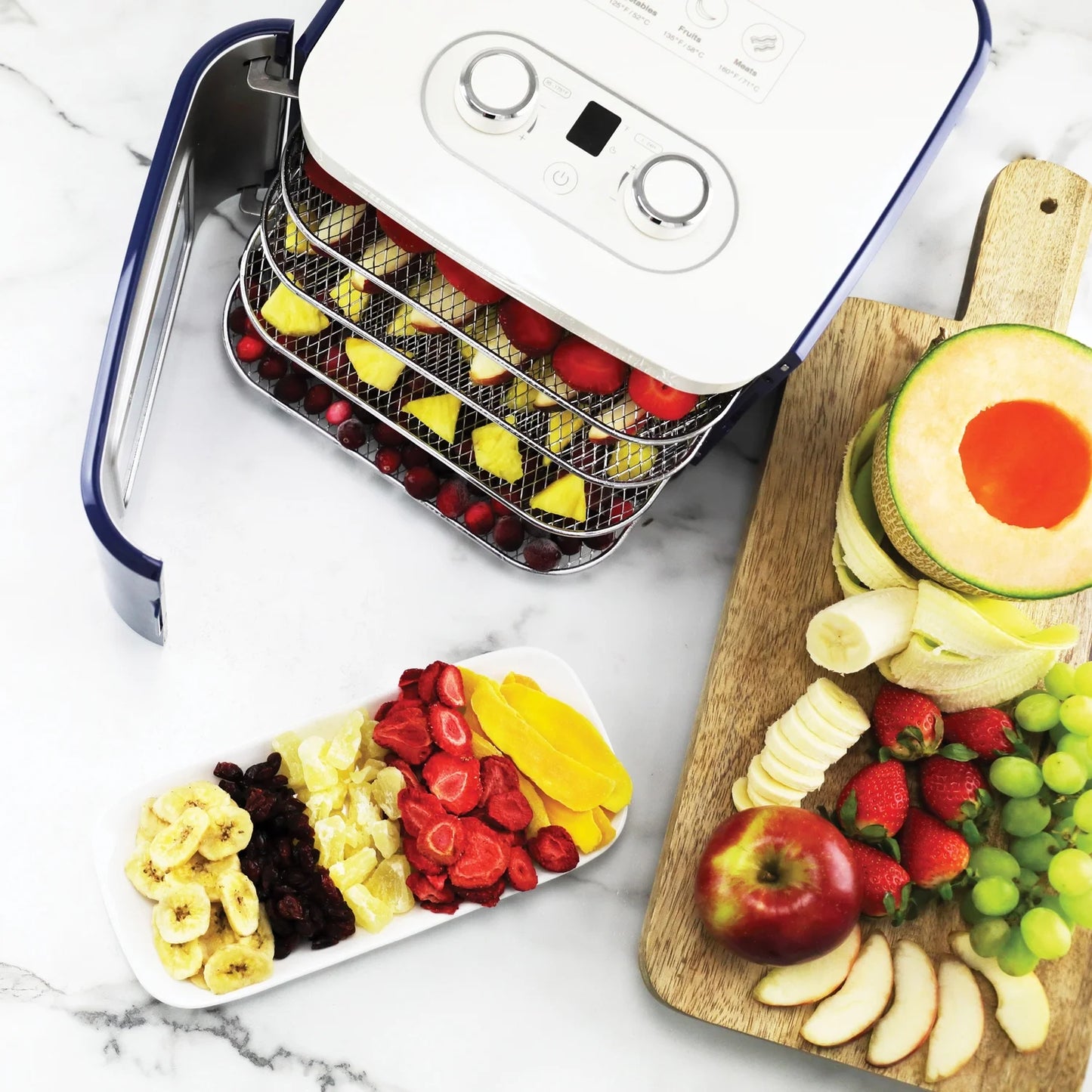 NESCO FD-41B 400-Watt Snackmaster Jr. Dehydrator