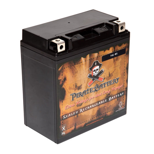 Pirate Battery YTX16L-BS (16L-BS 12 Volt,14 Ah, 230 CCA) Atv Battery for Kawasaki 300cc Klf300-c Bayou 300 4x4 Cn 1993