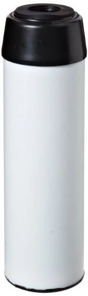 Pentek TSGAC-10 Scale Filter (9-3/4 x 2-7/8)