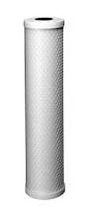 20 x 4.5 Inch Carbon Whole House Filter C2-02 Fits IHS12-D4 and IHS22-D4 Systems by CFS