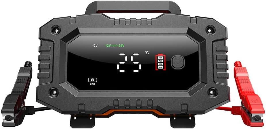 IRICO Multi-Stage Smart Battery Charger for Lithium-ion, LifePo4, AGM, Gel, SLA, Wet, EFB, Deep Cycle Batteries, with Repair Feature. Charge at 12V, 20A or 24V 10A