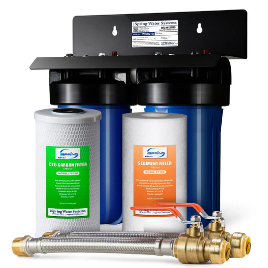 iSpring WGB21B+AH12MN16X2 2-Stage Whole House Water Filtration System with 3/4 inch Push-Fit Braided Stainless Steel Hose Connectors and Ball Valve