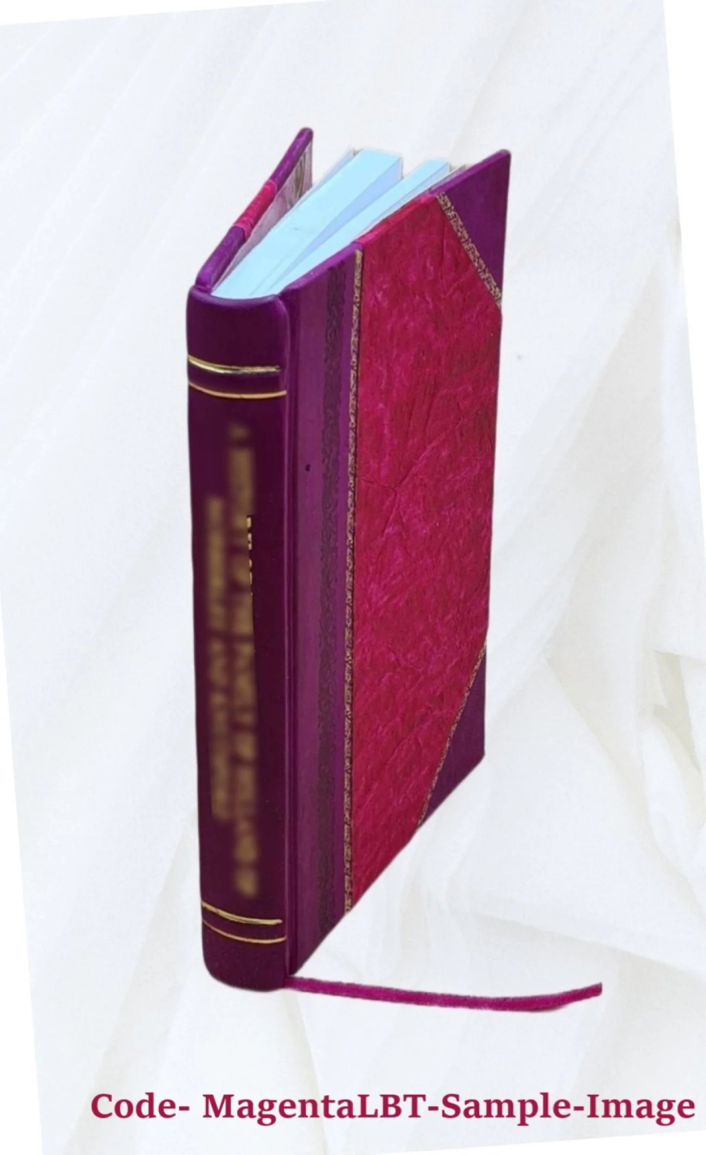La Madone: et La dixième journée 1908 [Leather Bound]