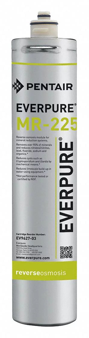 Everpure Filter Cartridge,Not Rated,0.2 gpm,17 H  EV962703-75