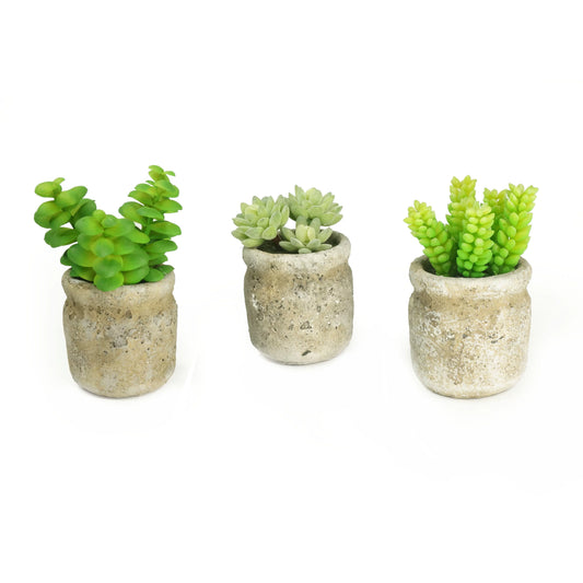 K-Cliffs Set of 3 Realistic Faux Artificial Succulent Plants in Rustic Cement Pot Planter