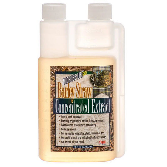 Microbe-Lift Barley Straw Concentrated Extract [Pond, Water Treatments] 16 oz
