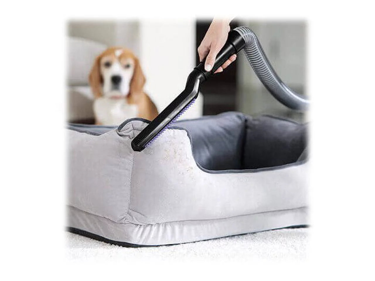 BISSELL PowerEase 2253 Swivel Rewind Pet Vacuum in Blue