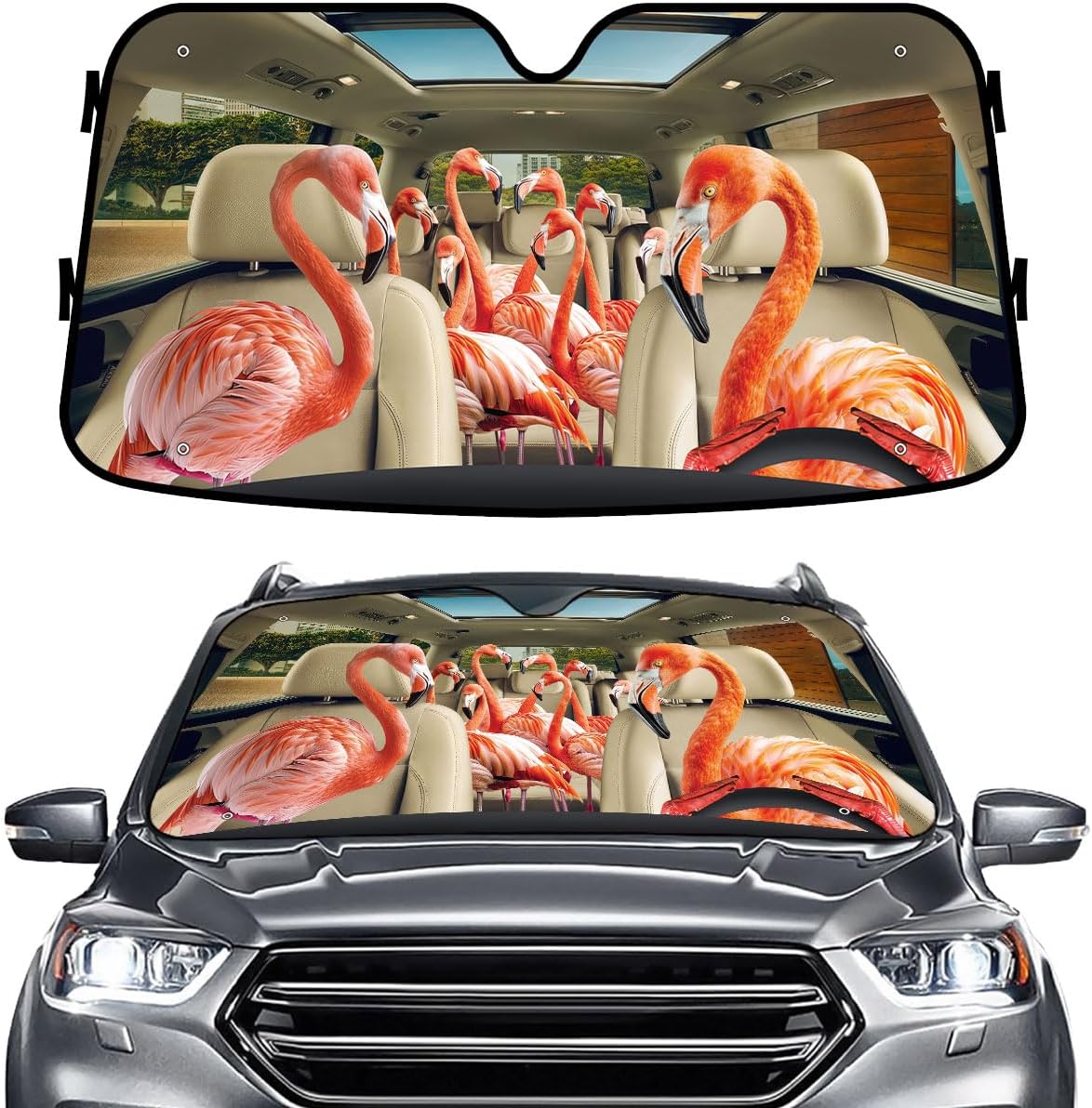 GENANY Windshield for Car
