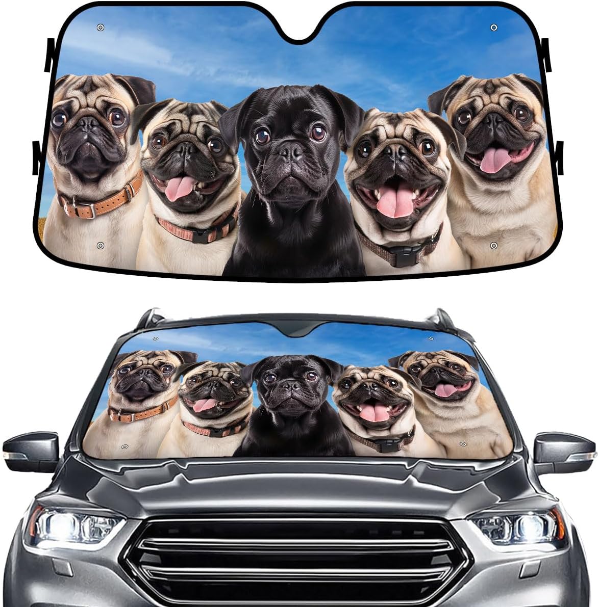 GENANY Windshield for Car