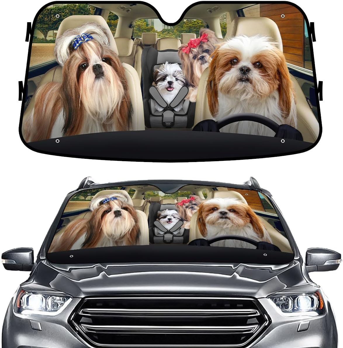 GENANY Windshield for Car