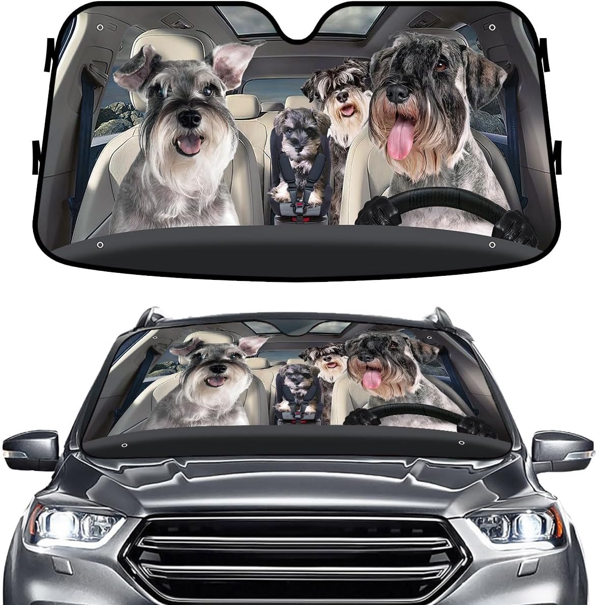 GENANY Windshield for Car