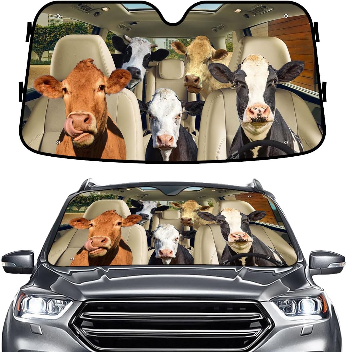 GENANY Windshield for Car