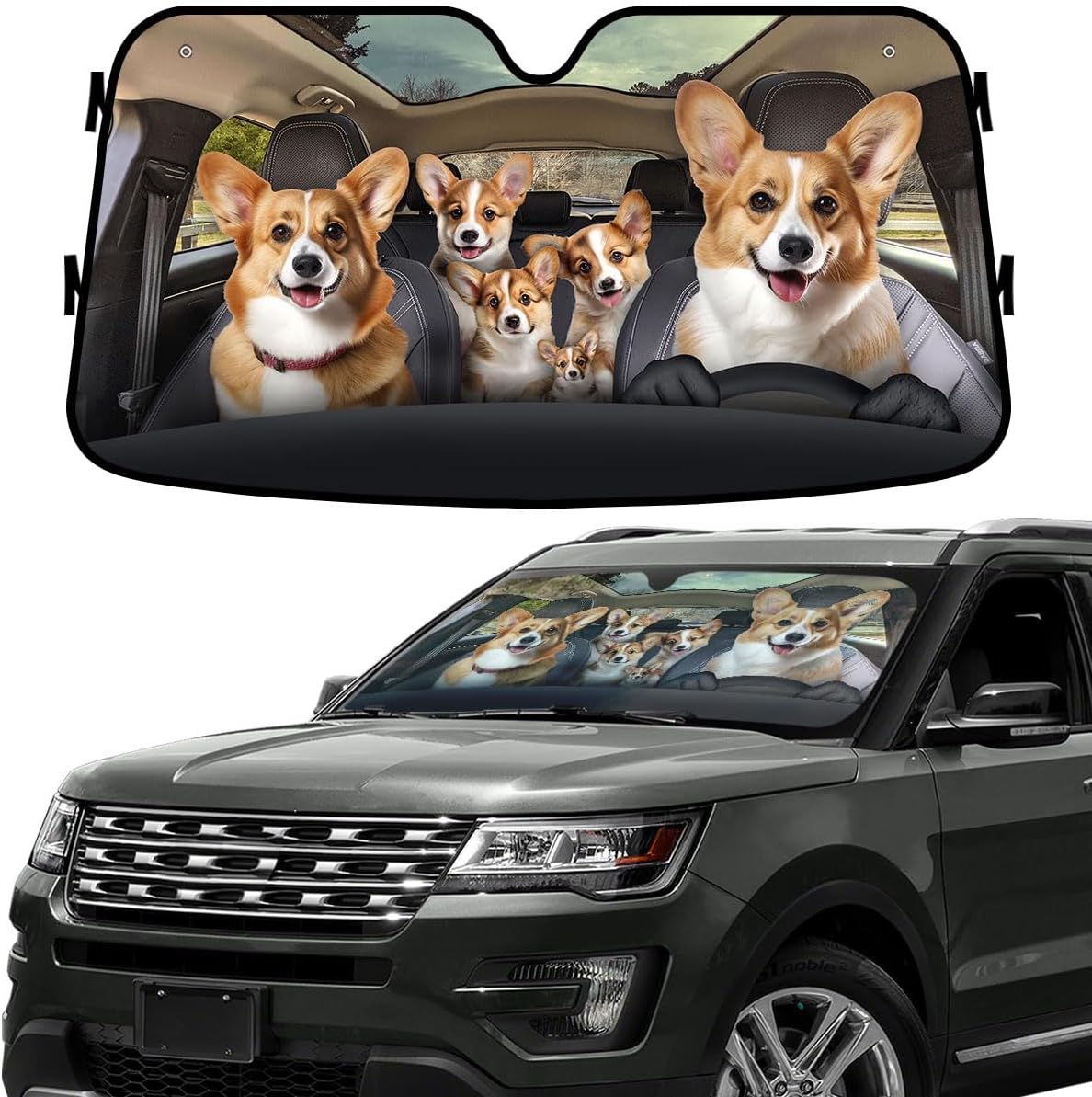 GENANY Windshield for Car