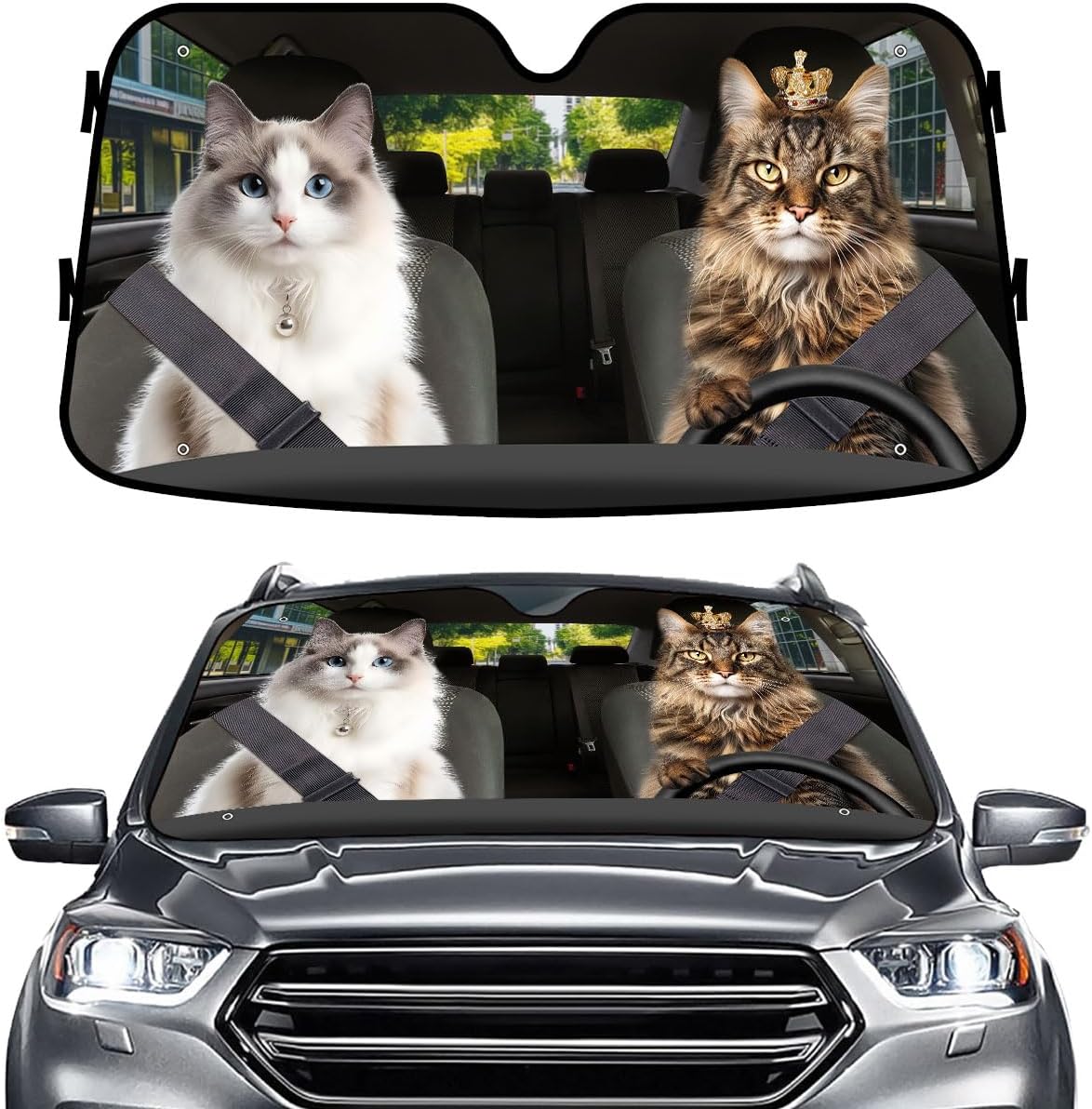 GENANY Windshield for Car