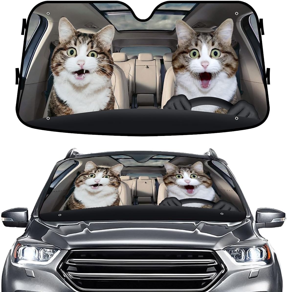 GENANY Windshield for Car