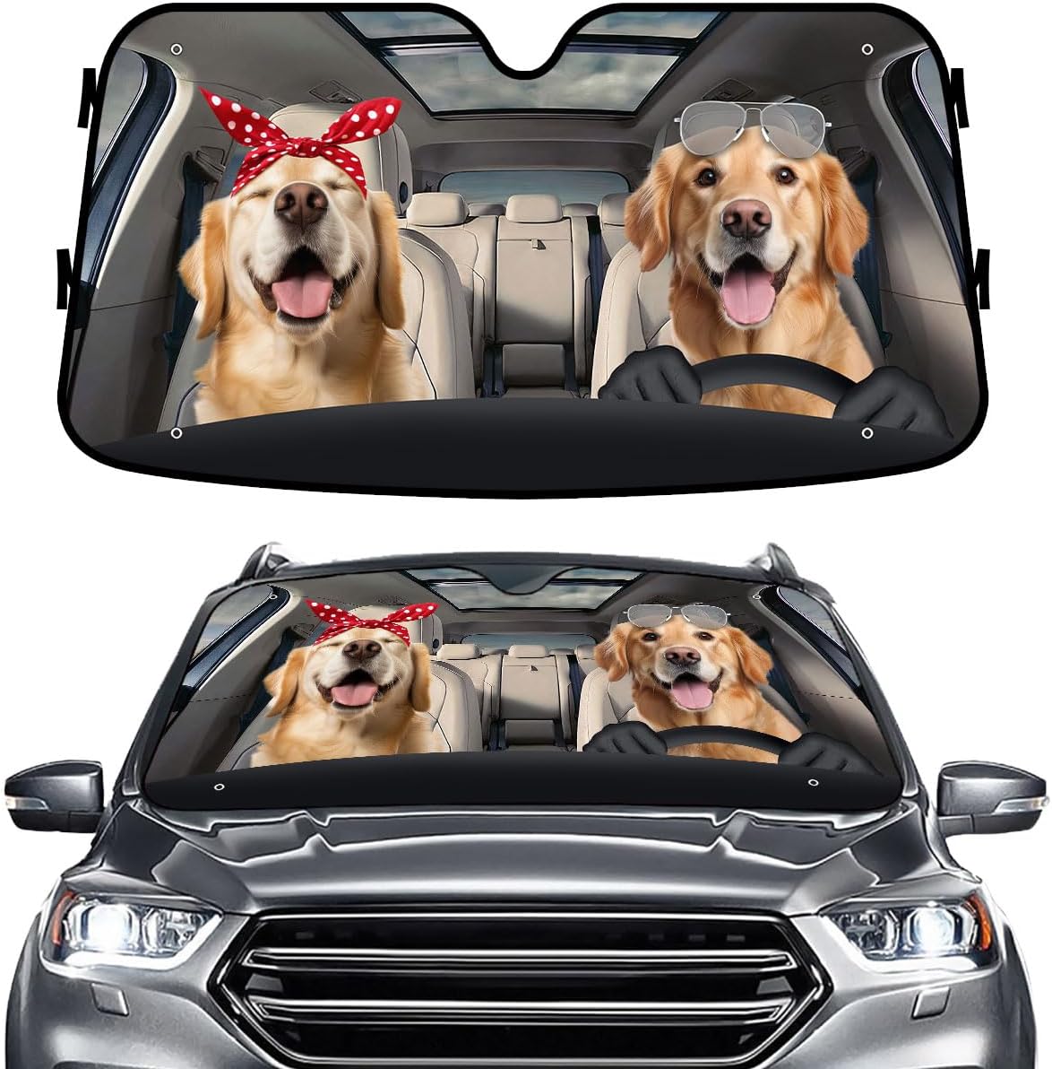 GENANY Windshield for Car