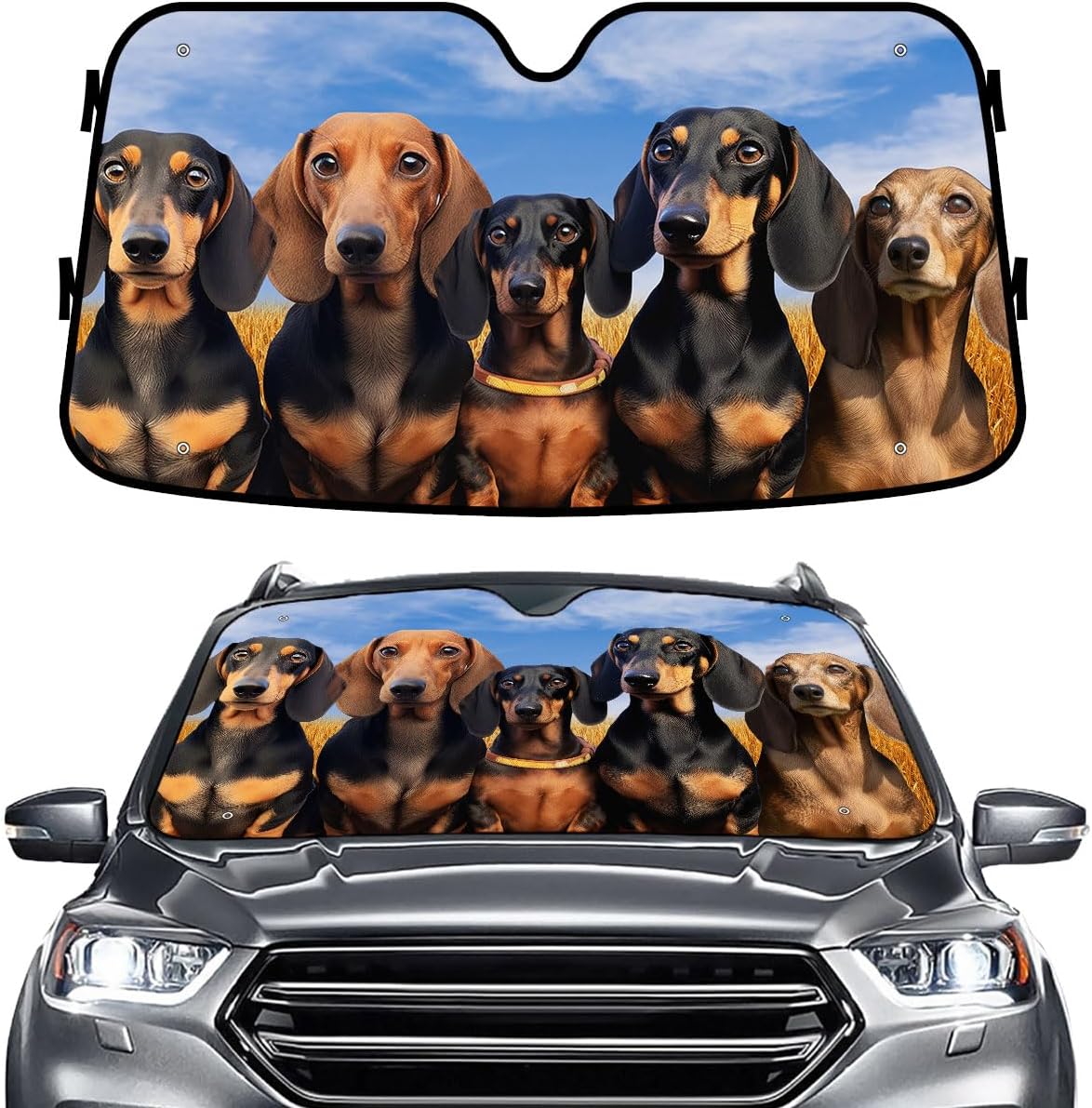 GENANY Windshield for Car