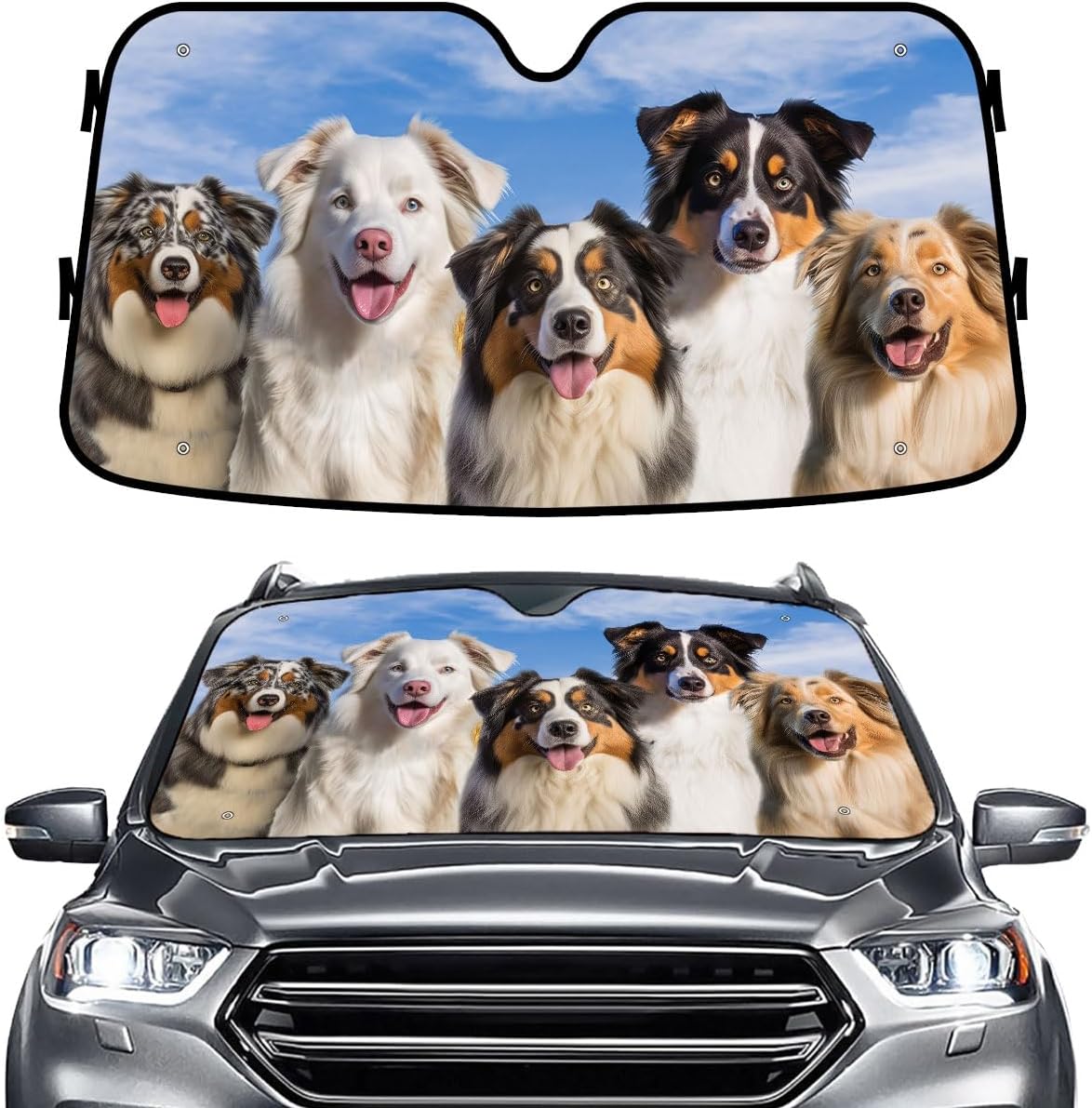 GENANY Windshield for Car