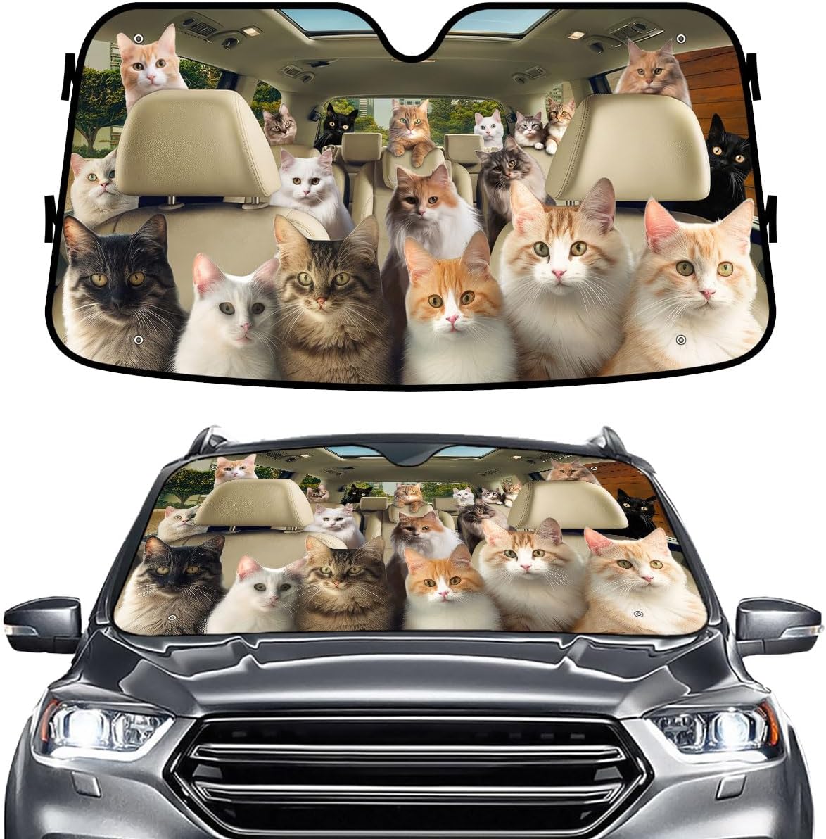 GENANY Windshield for Car