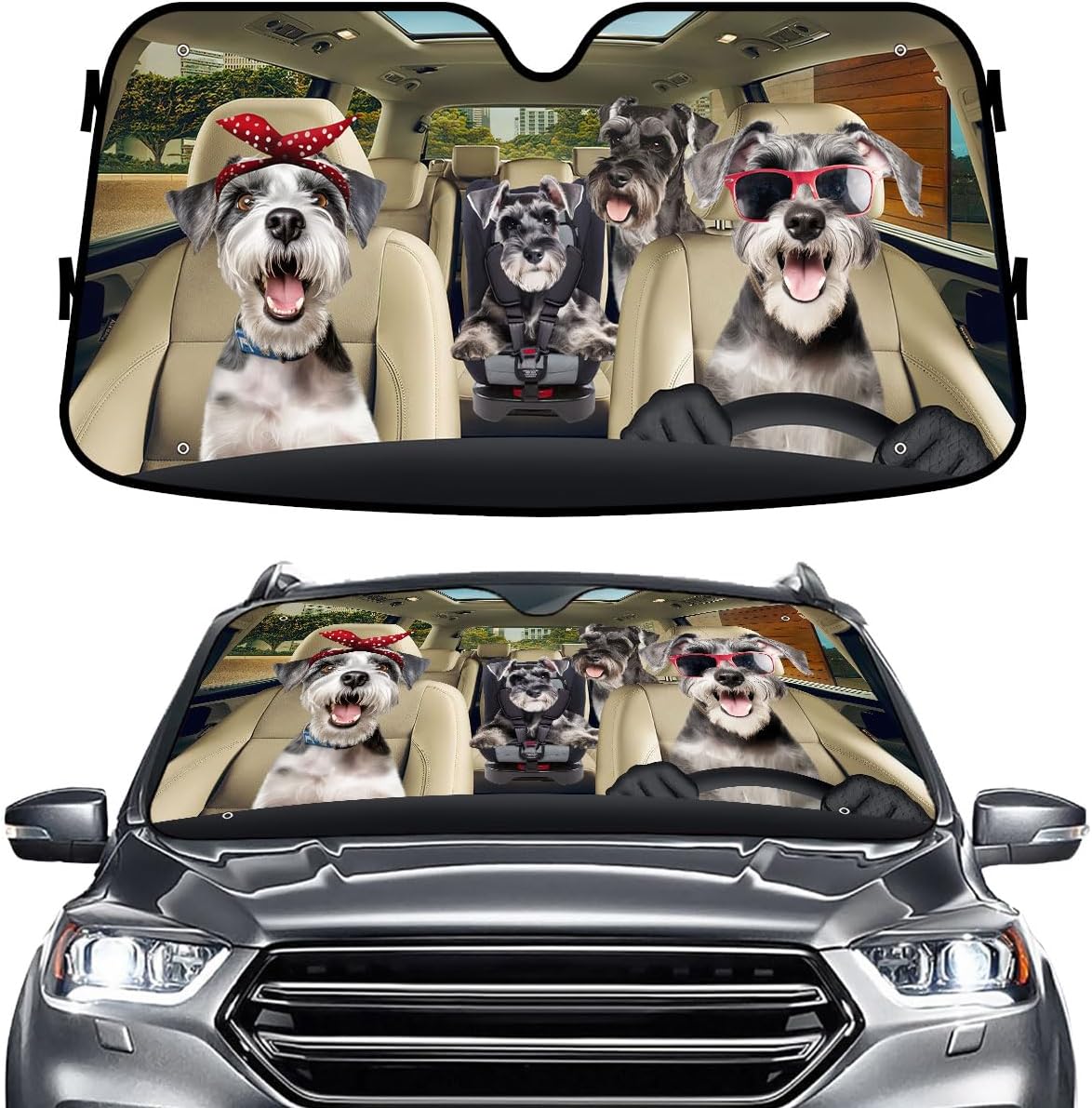 GENANY Windshield for Car