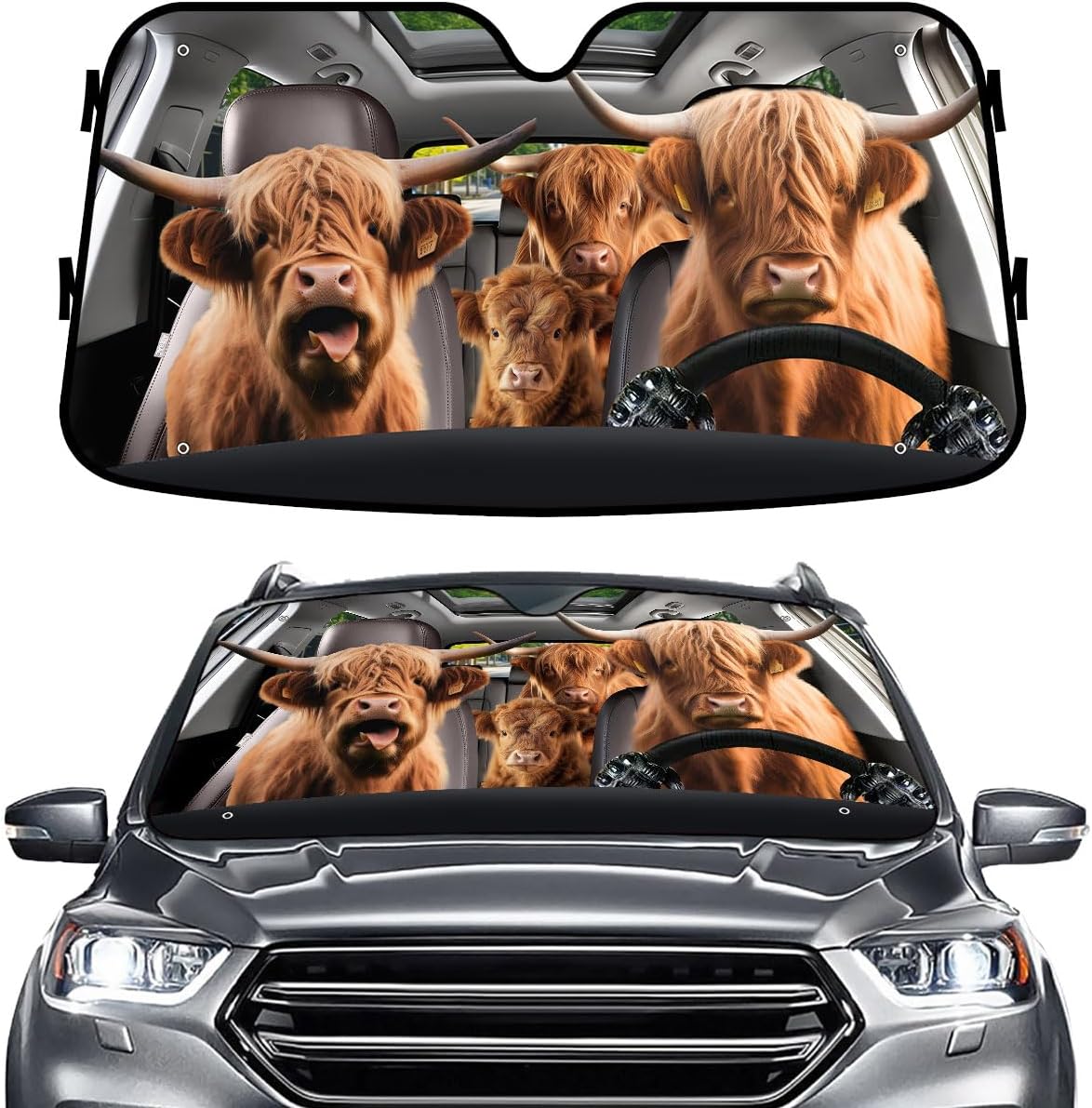 GENANY Windshield for Car