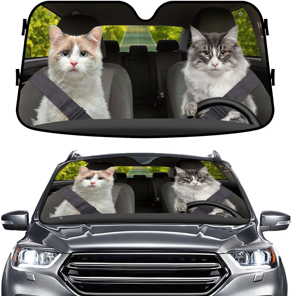GENANY Windshield for Car