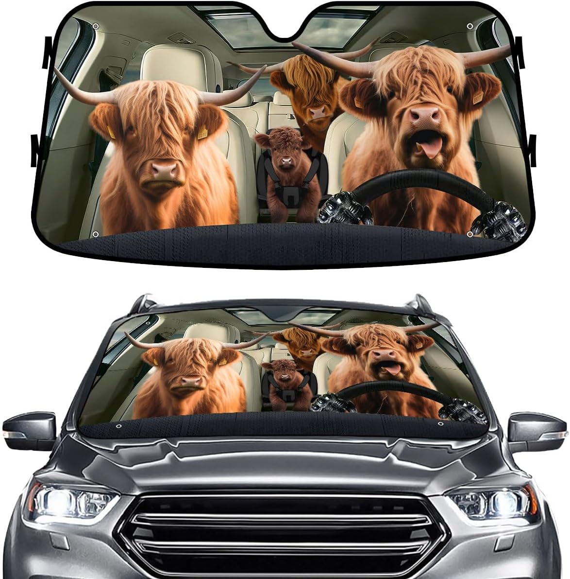 GENANY Windshield for Car