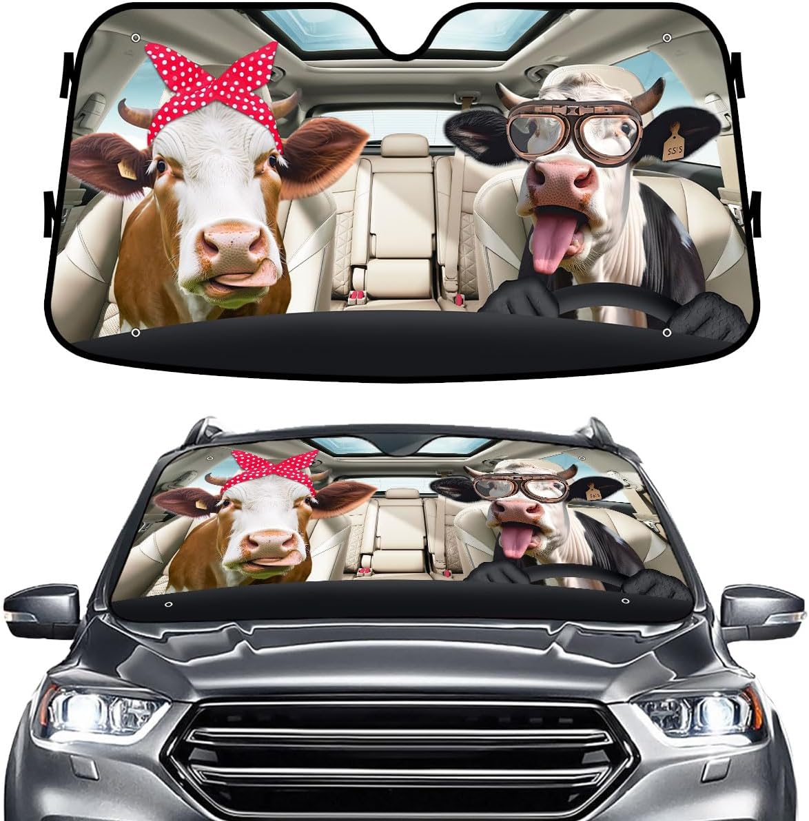 GENANY Windshield for Car