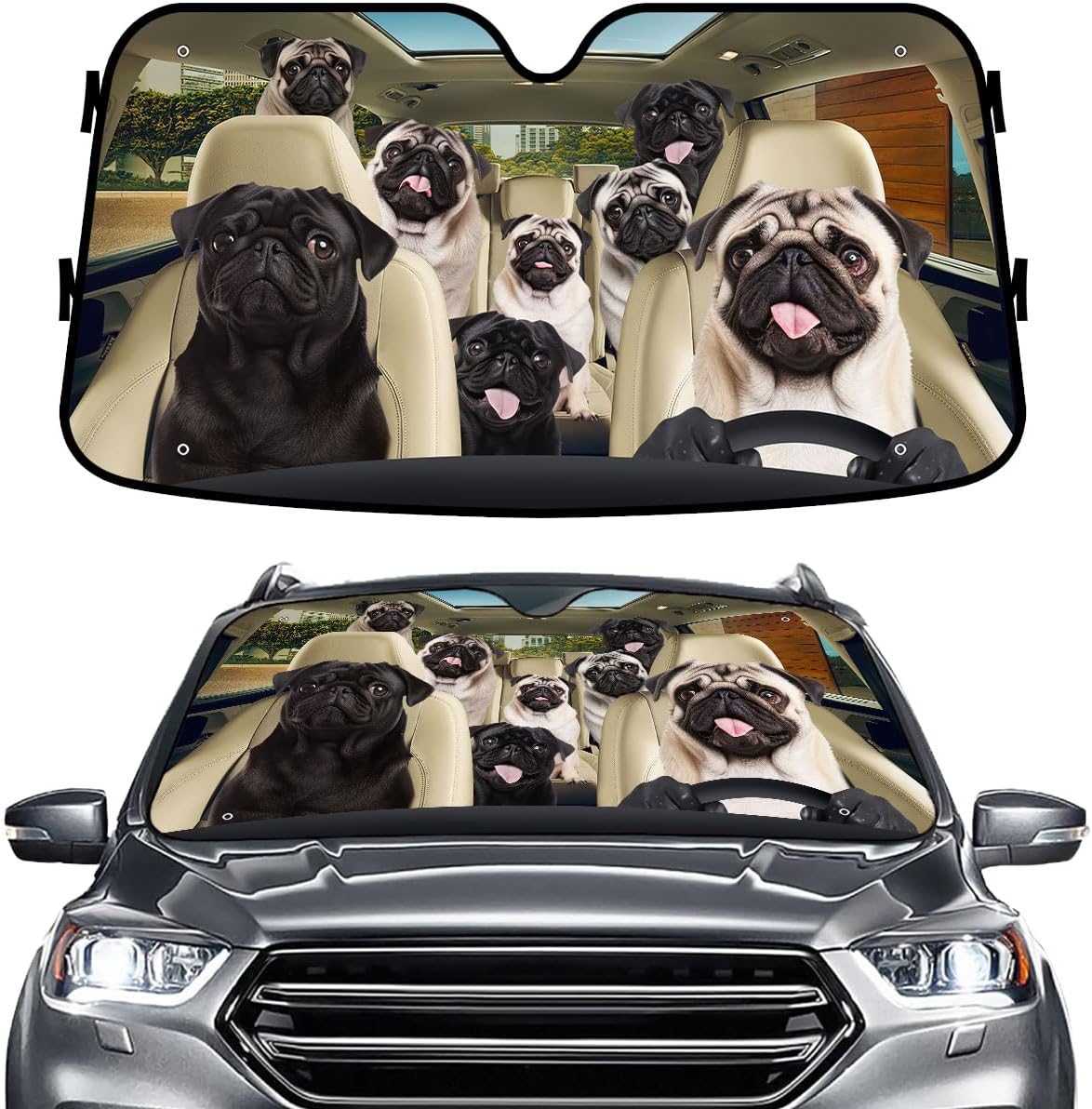 GENANY Windshield for Car