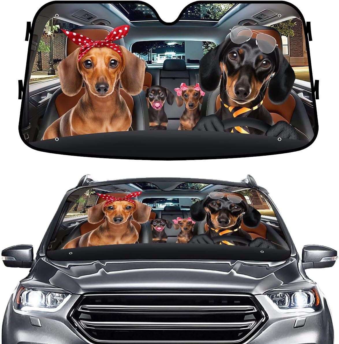 GENANY Windshield for Car
