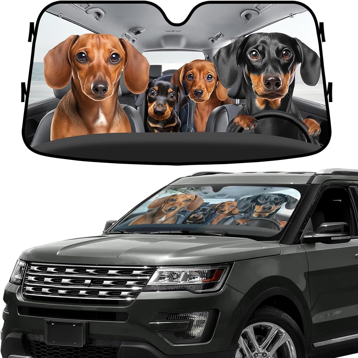 GENANY Windshield for Car