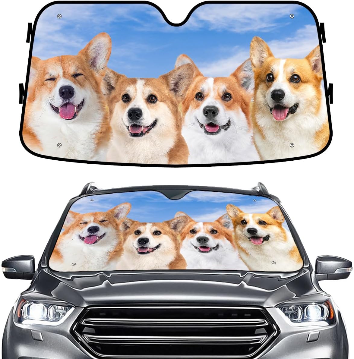 GENANY Windshield for Car