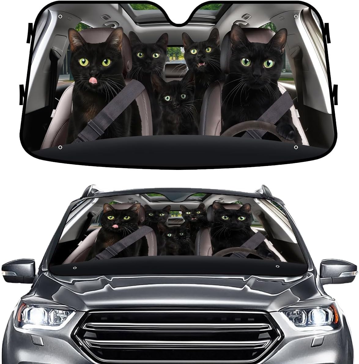 GENANY Windshield for Car
