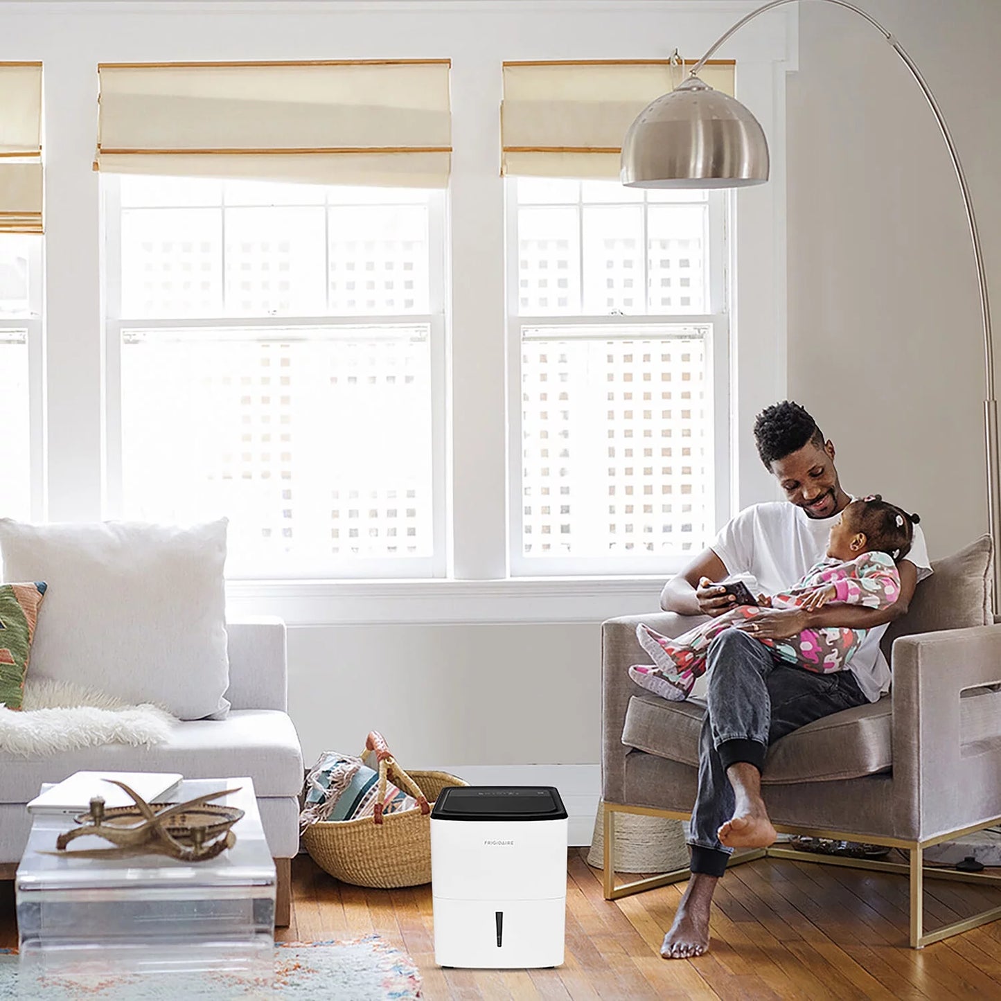 Frigidaire Low Humidity 22 Pint Capacity Dehumidifier