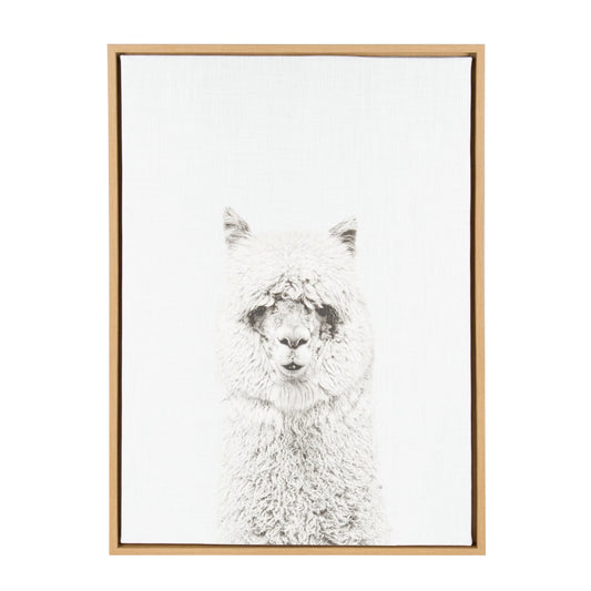 Kate and Laurel Sylvie Hairy Alpaca Black and White Portrait Framed Canvas Wall Art by Simon Te Tai, 23x33 Natural