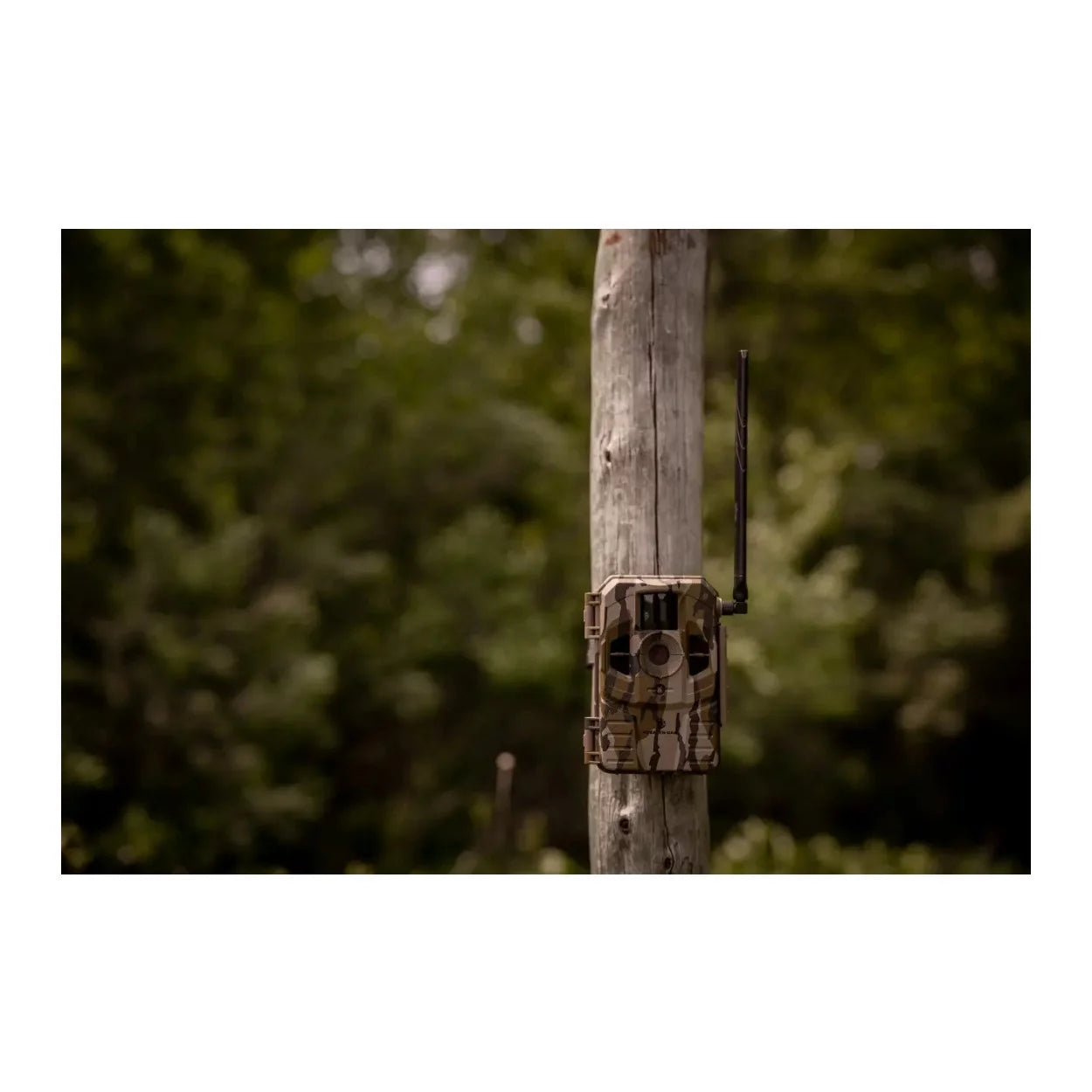 Stealth Cam Connect Cellular Trail Camera (AT&T)