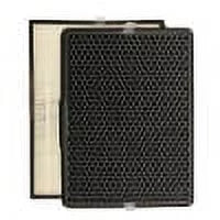 Rowenta Pure Air 2-in-1 Active Carbon Allergy Filters for PU3030 and PU3040 Air Purifiers, XD6231