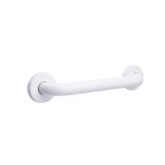 CSI Stainless Steel 12-inch Straight Safety Grab Bar