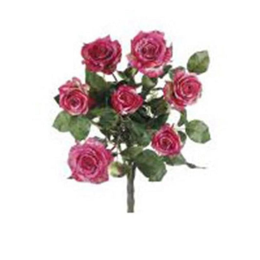 FBR054-RO-TT 21.5 in. Two Tone Rose Confetti Rose Bush X7- Case of 1