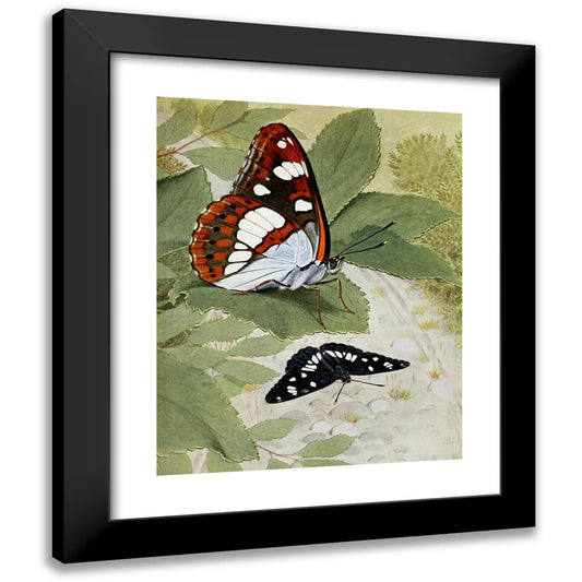 Paul-Andre Robert 15x18 Black Modern Framed Museum Art Print Titled - Le Sylvain Azure (1934)